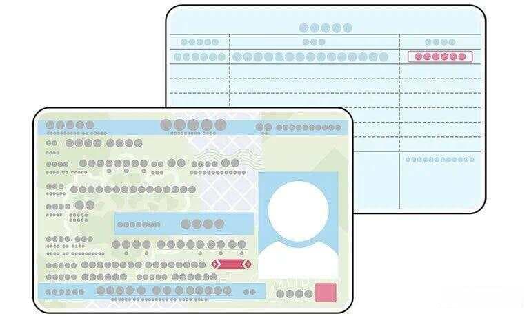 在日本生活必备的身份证明卡：在留卡、医保卡、驾照与My Number卡详解