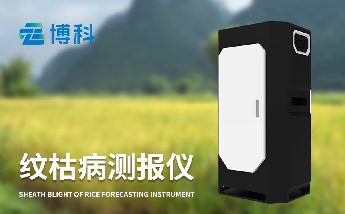 纹枯病监测仪：如何帮助农民减少农药使用量？