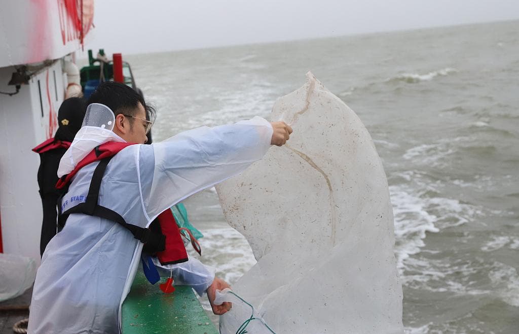 海洋生态保护红线怎样划定？如何守护？自然资源部回应