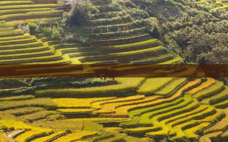 探秘宝坻与海南双地之旅：文化、美食与自然景观全解析