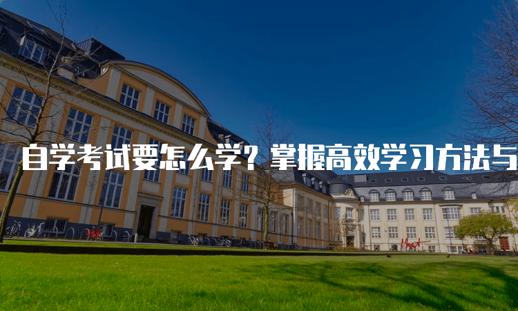 自学考试要怎么学？掌握高效学习方法与技巧指南
