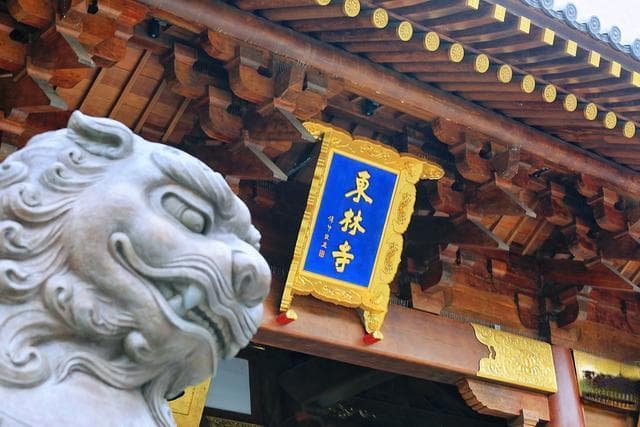 江西九江有一座东林寺，历史悠久，是佛教净土宗的发源地之一
