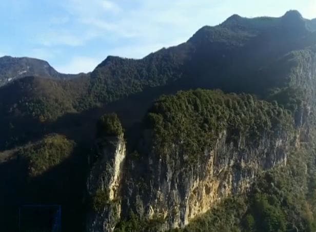 【“不忘初心、牢记使命”主题教育进行时】周永开：扎根大山 愿为树根作底肥