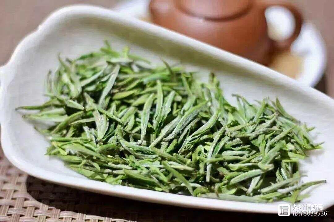 为什么刚买回来的新绿茶，要放一放才更好喝？