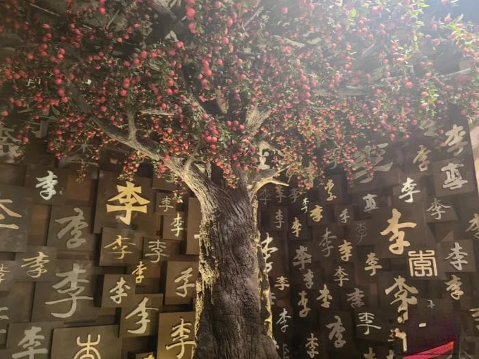 人这一辈子，一定要去一趟周口！
