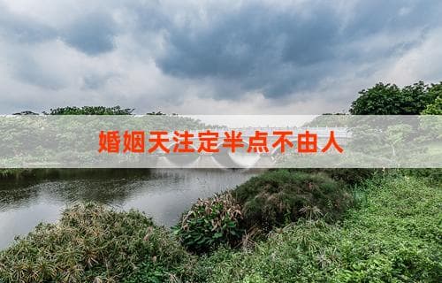 婚姻天注定半点不由人：命运与选择之间的微妙平衡