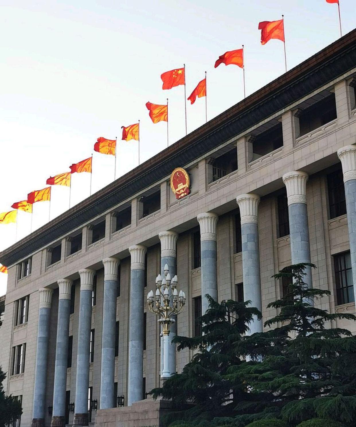 同为正厅，这四个职位哪个更有前景？很多人想岔了！