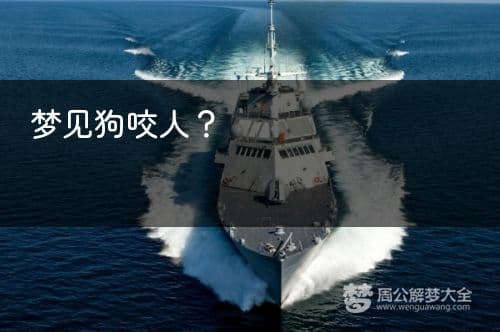 梦见狗咬人？这些梦境背后可能暗藏玄机