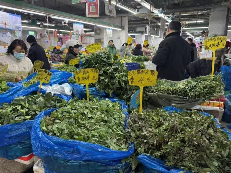 上新！上新！南京人的春天……