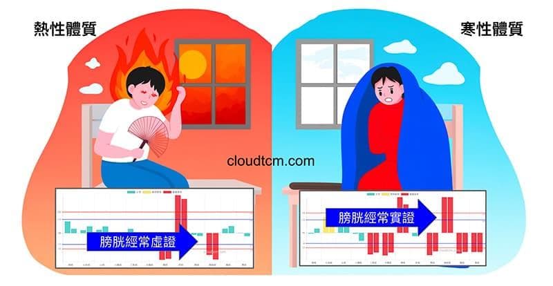 从大数据及经络角度理解“桂枝”的6种强大功效！