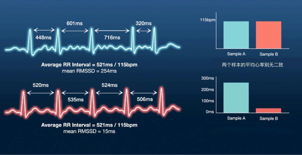 一文解决关于佳明HRV 99%的疑惑以及深入理解HRV的原理