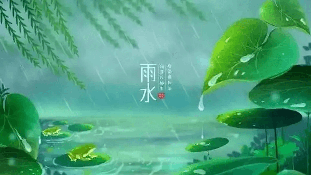 雨水知识大全