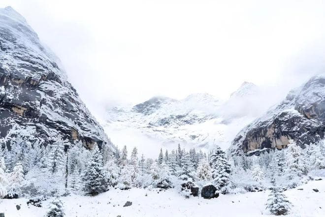 雪舞翩跹，心随景动——《七律·雪》赏析