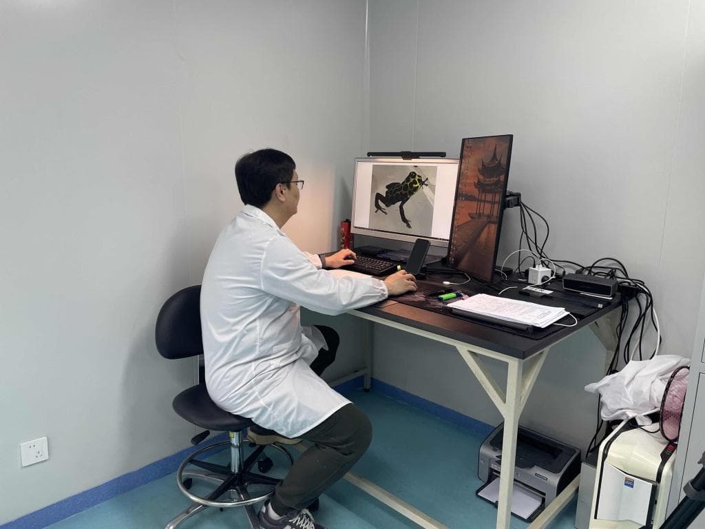 绚丽且致命，箭毒蛙被海关截获之后