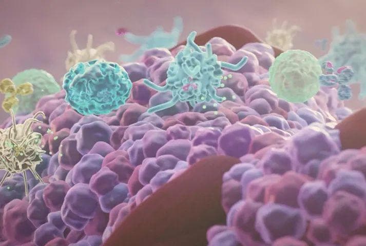 中国药科大学发现三阴性乳腺癌肺转移创新治疗方案