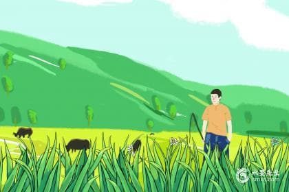 铜镜放在家里的忌讳，铜镜的风水作用
