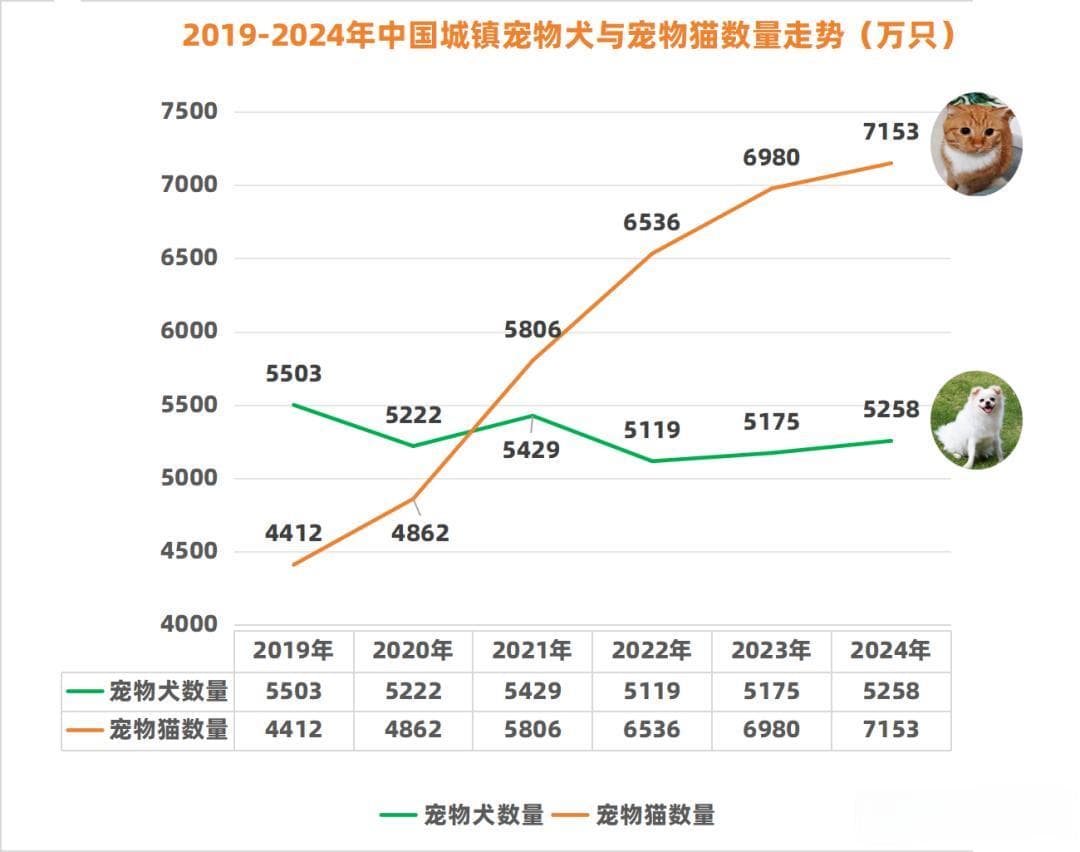 3000万宠物正在老去，一个新蓝海悄然诞生