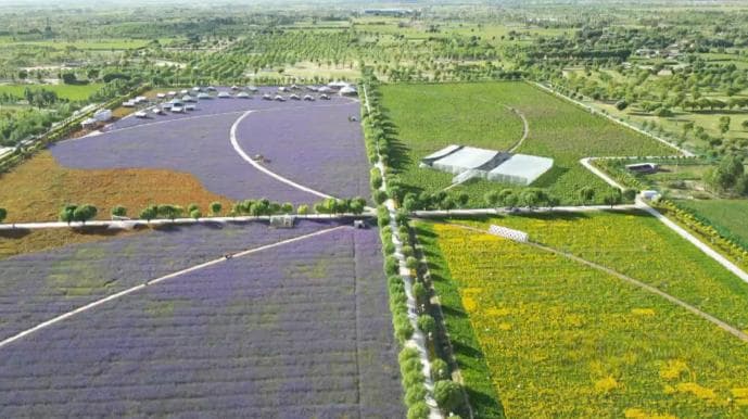沙漠变绿地、变耕地 我国率先实现土地退化"零增长"