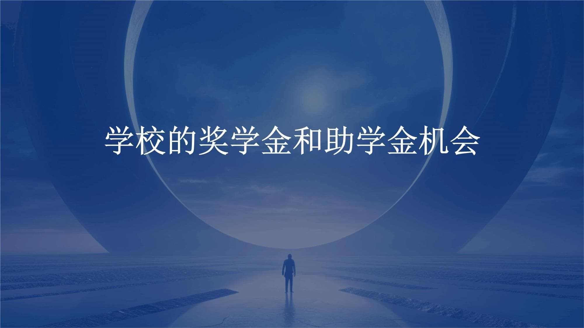 学校的奖学金和助学金机会