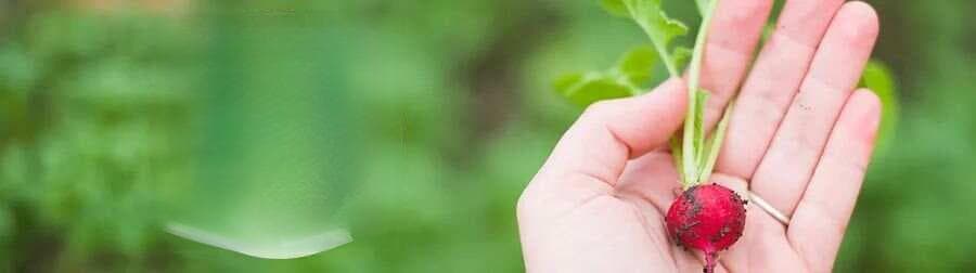 8个素斋超好吃的寺庙, 一碗面10元起, 好多人专程来吃
