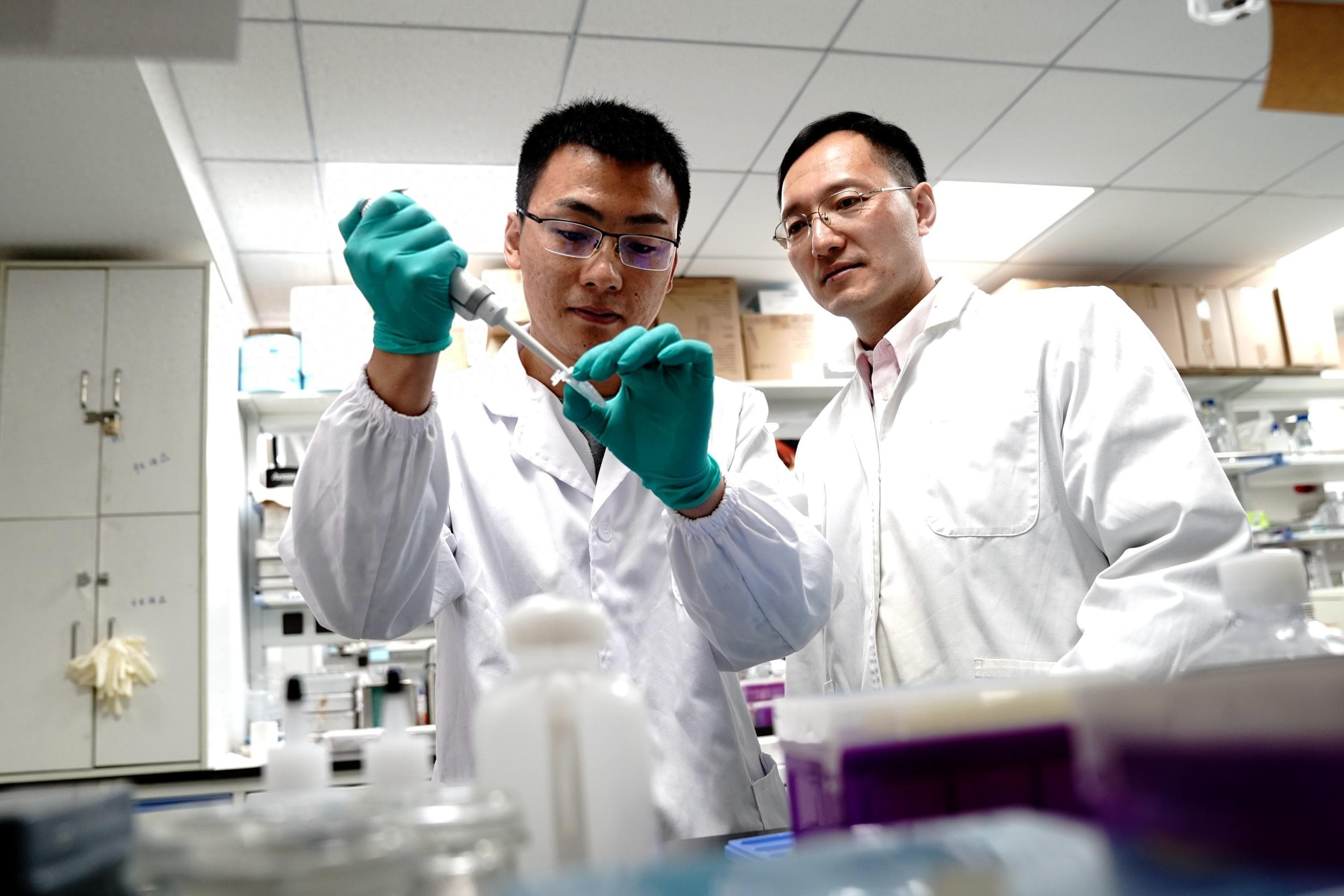我国科学家发现抗衰老新突破：水果内的提取物可延长生存期64.2%
