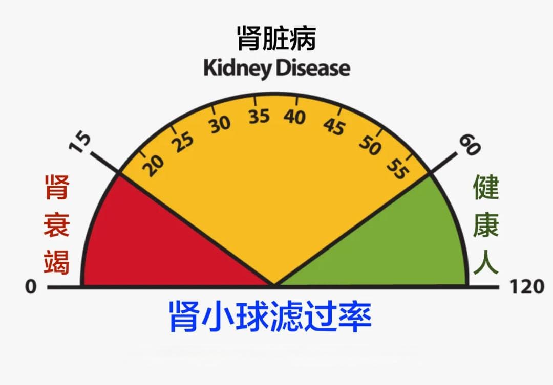 估算肾小球滤过率的准确方式！