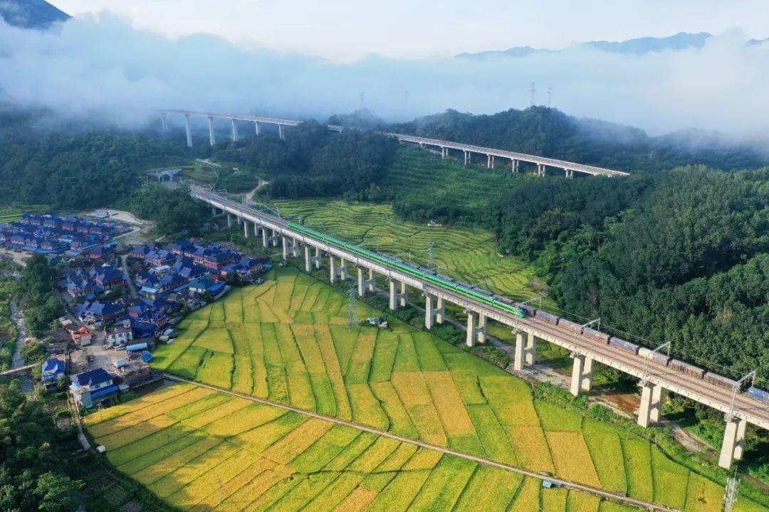 西双版纳抓紧开放这个关键 激发高质量发展活力
