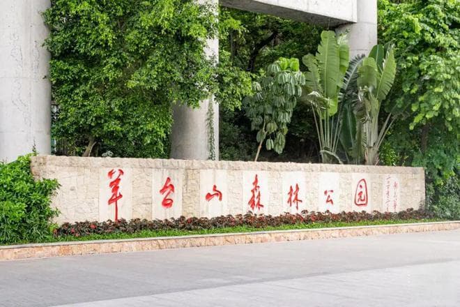 深圳春天适合挖野菜的7大好去处！