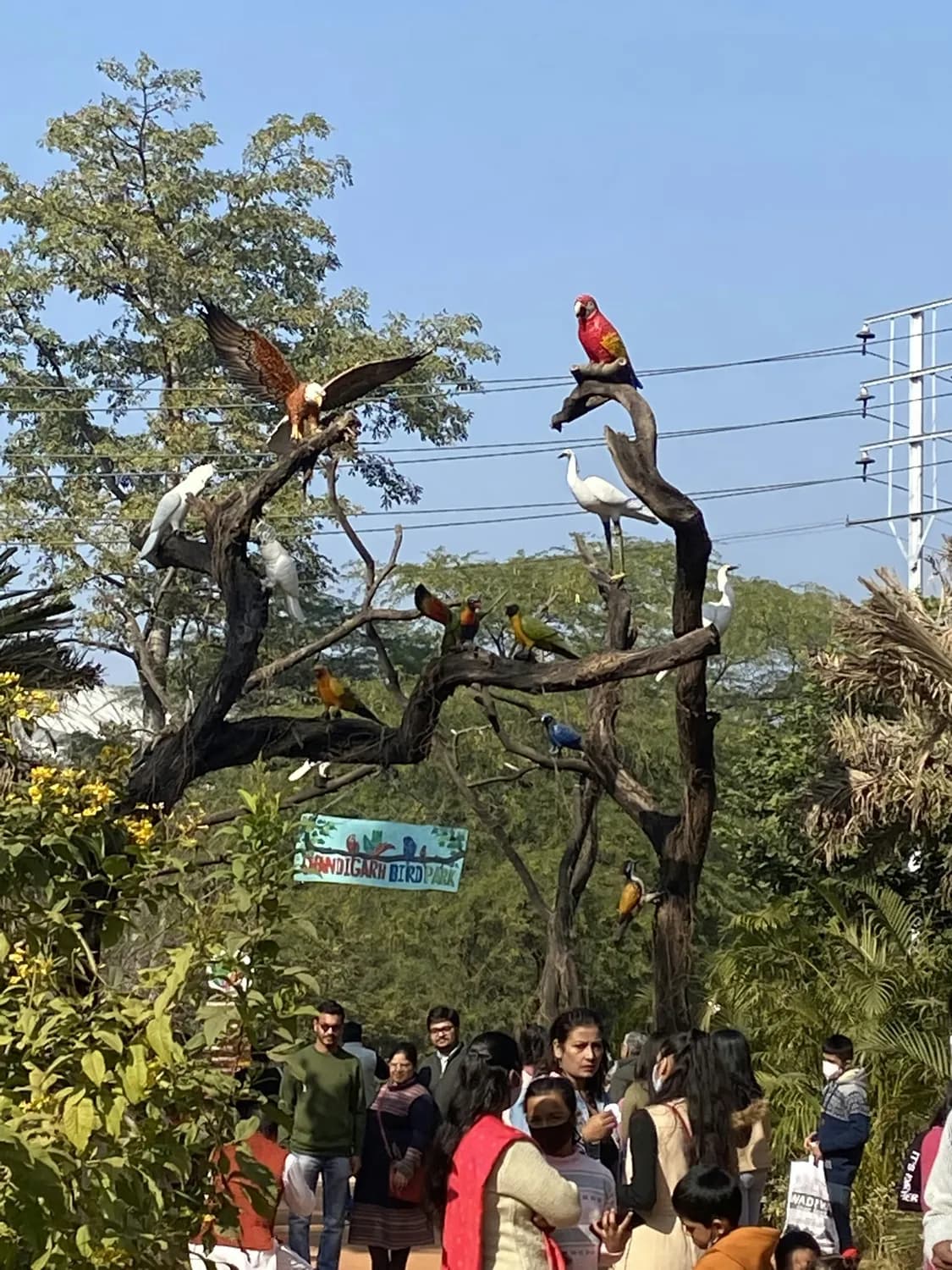 鸟类科教基地：带你探秘鸟巢世界