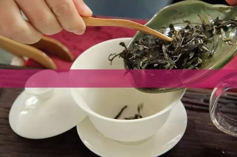 春饮绿茶夏饮白，秋冬红茶最养胃
