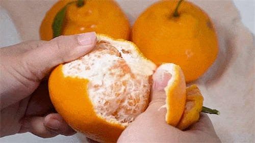 粑粑柑的皮可以做陈皮吗？制作方法与步骤详解
