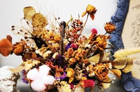 家里为什么不能放干花和假花？风水上有哪些说法？