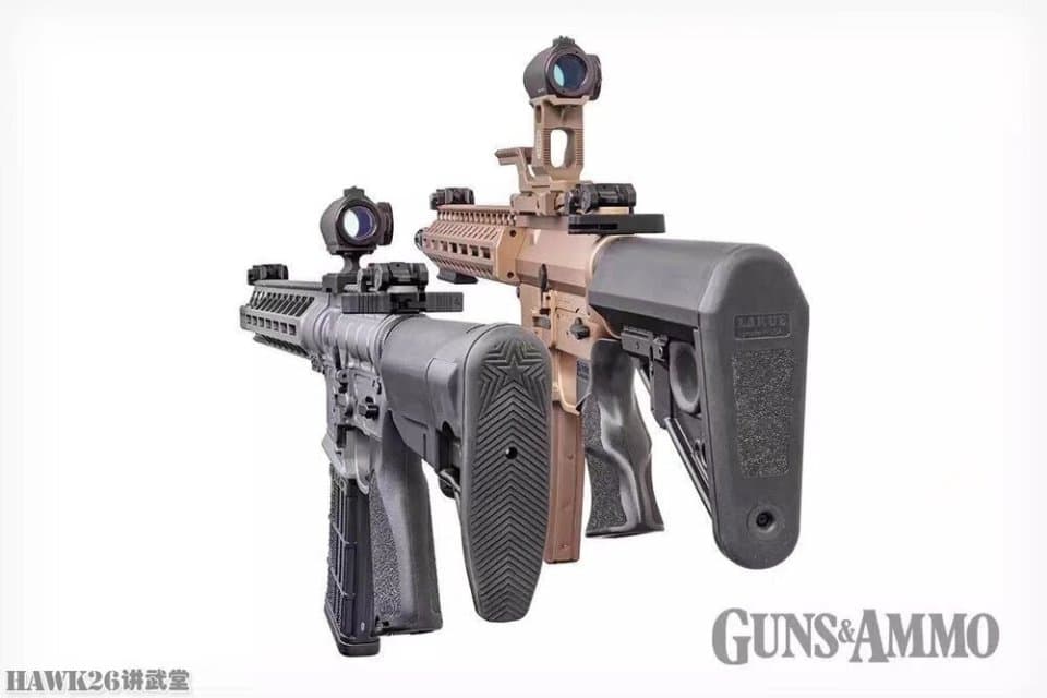 浅析：AR-15步枪的瞄准镜安装高度应该是多少？某些人说的并不对