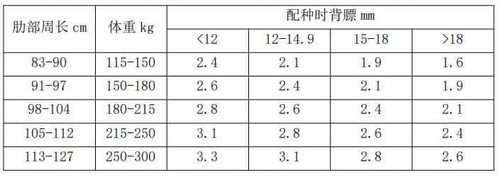 母猪精准营养：提升繁殖性能的关键技术
