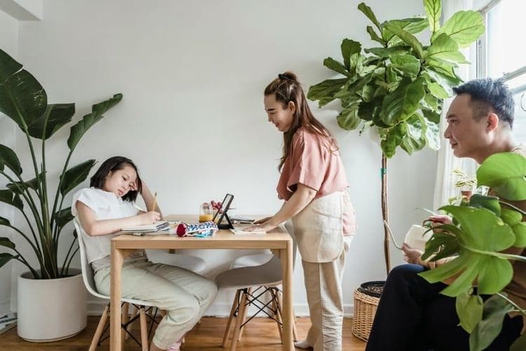 去湿茶的秘密：促进新陈代谢，调节生理机能