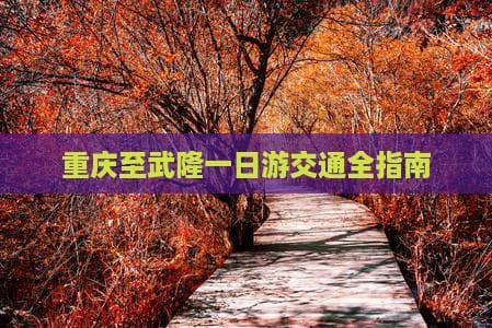 重庆至武隆一日游交通全指南