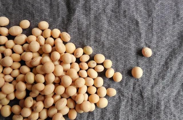 黄豆的营养成分、功效与作用及家常做法大全