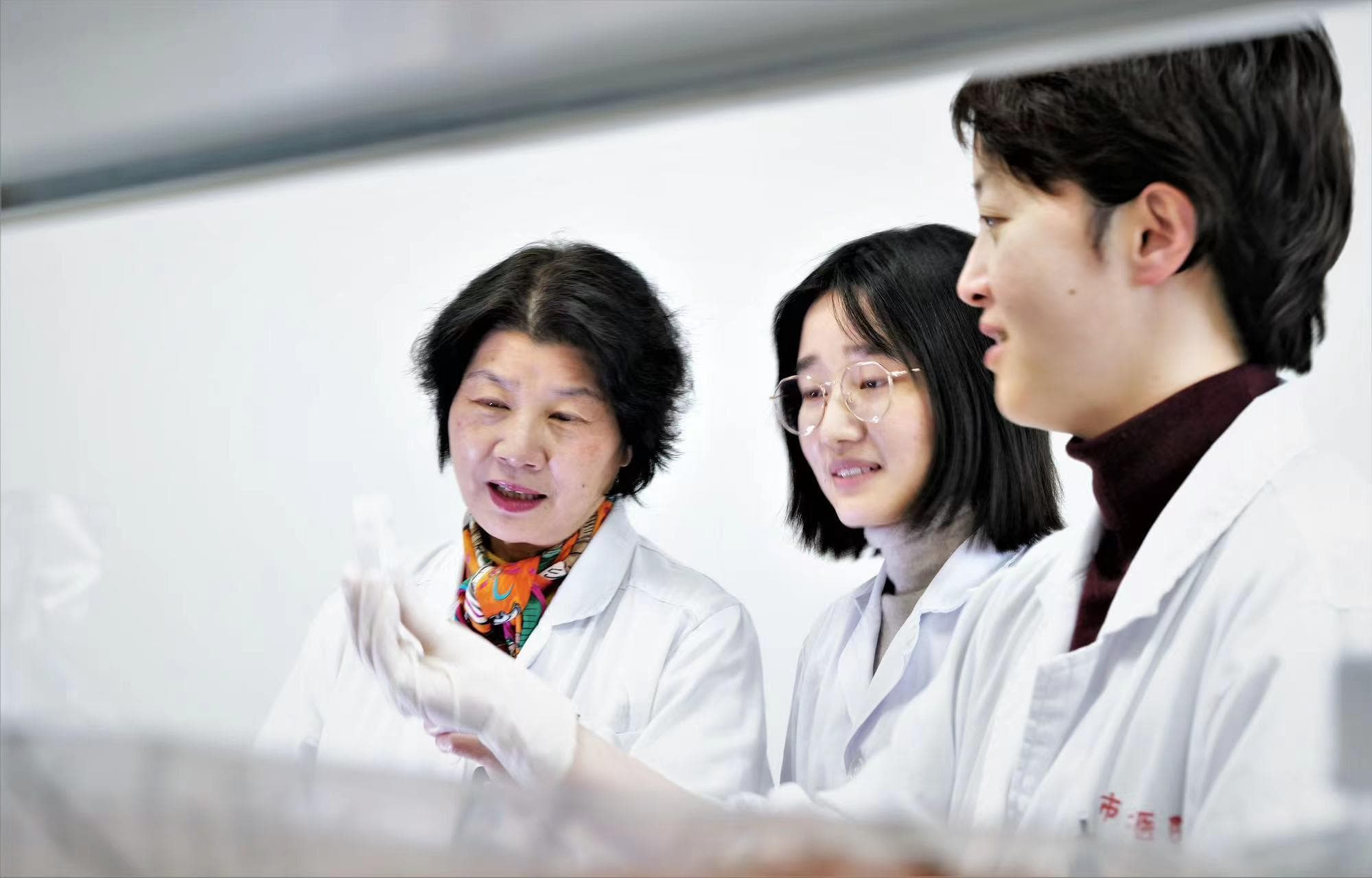 最新研究：长期吃这些东西可调节肠道菌群，缓解肥胖