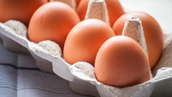 健身必备：高蛋白食物全解析