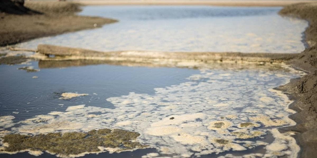 水污染的类型、原因和后果
