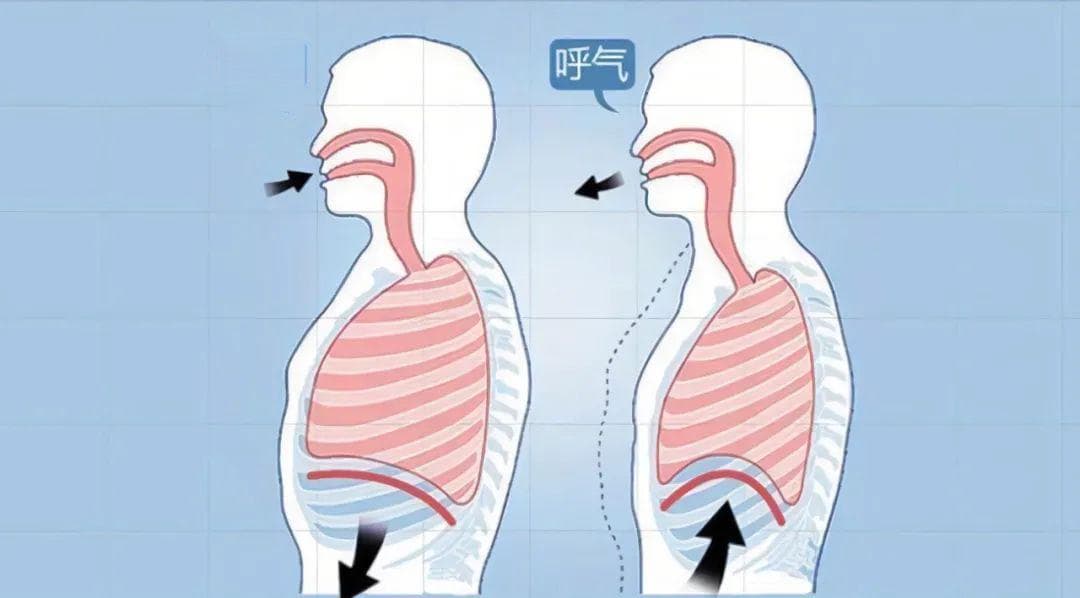 慢阻肺病患者的呼吸康复，呼吸肌的锻炼最为关键，简单6个动作，有效增强肌力耐力！