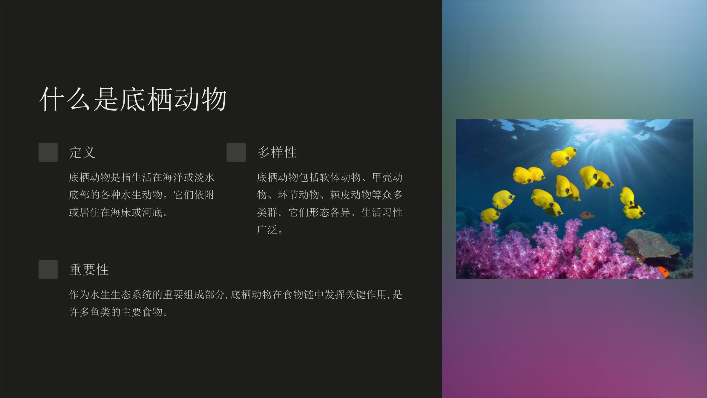 底栖动物概述：海洋底部独特的生态系统