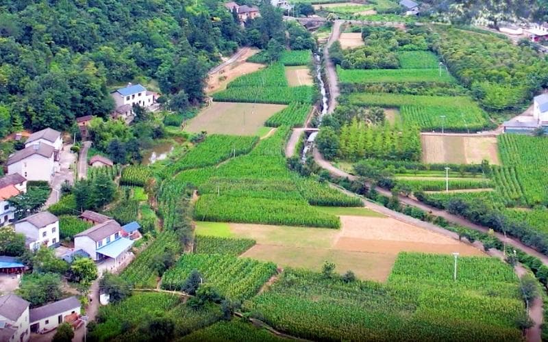 湖北夷陵烟草：加快建设“雪茄之都”，蹚出“茄”旅振兴路