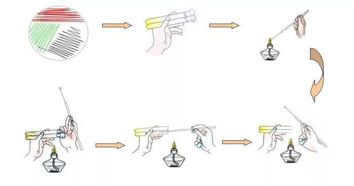 微生物检测基础知识