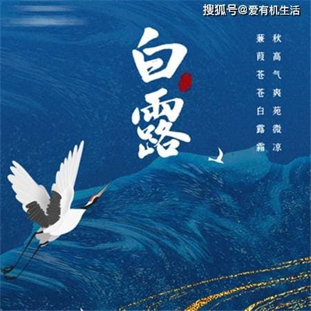 白露后多久才会变凉快，白露节气的特点