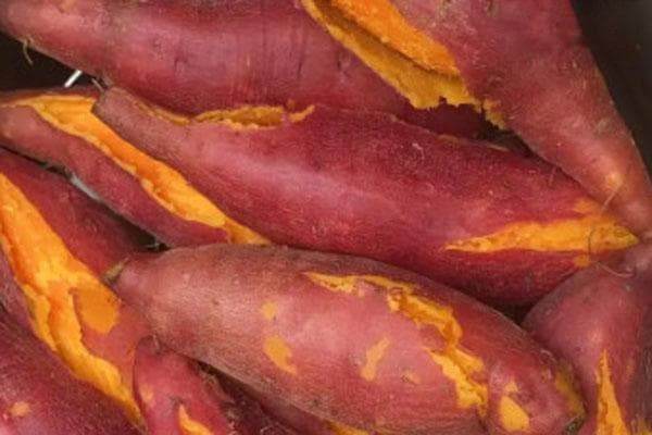 碱性食物大全一览表