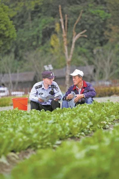 宁波公安“冬季行动”成效显著，盗窃案件同比下降12.4%