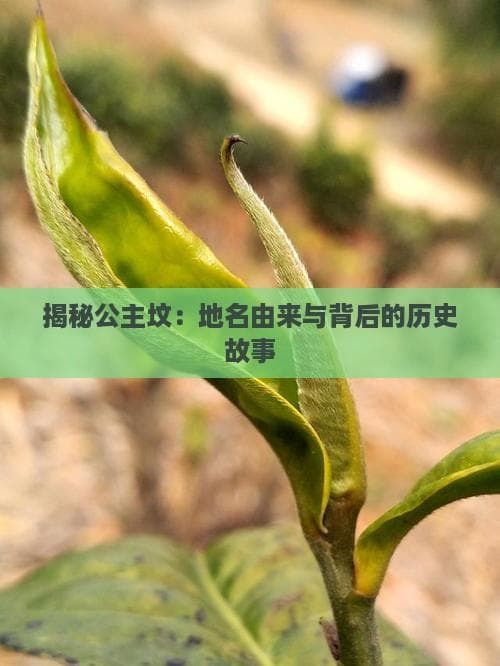 揭秘公主坟：地名由来与背后的历史故事