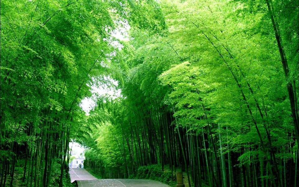 澳洲技术移民副申请人要求