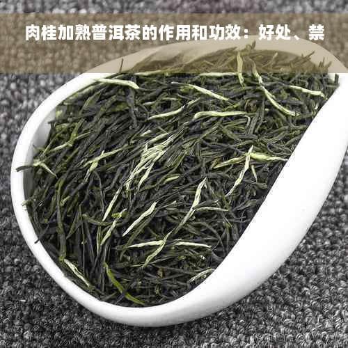 肉桂加熟普洱茶的作用和功效：好处、禁忌全解析